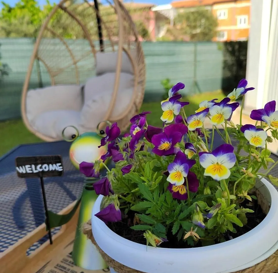Dodo&Ana Apartment Fazana Croatia